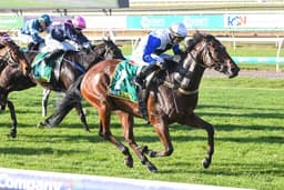 Image - Introduction