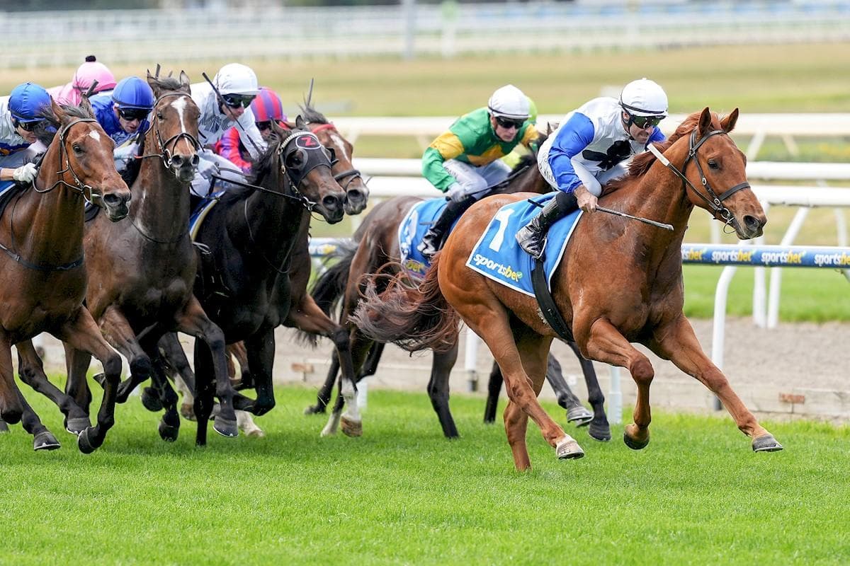 Image - Introduction