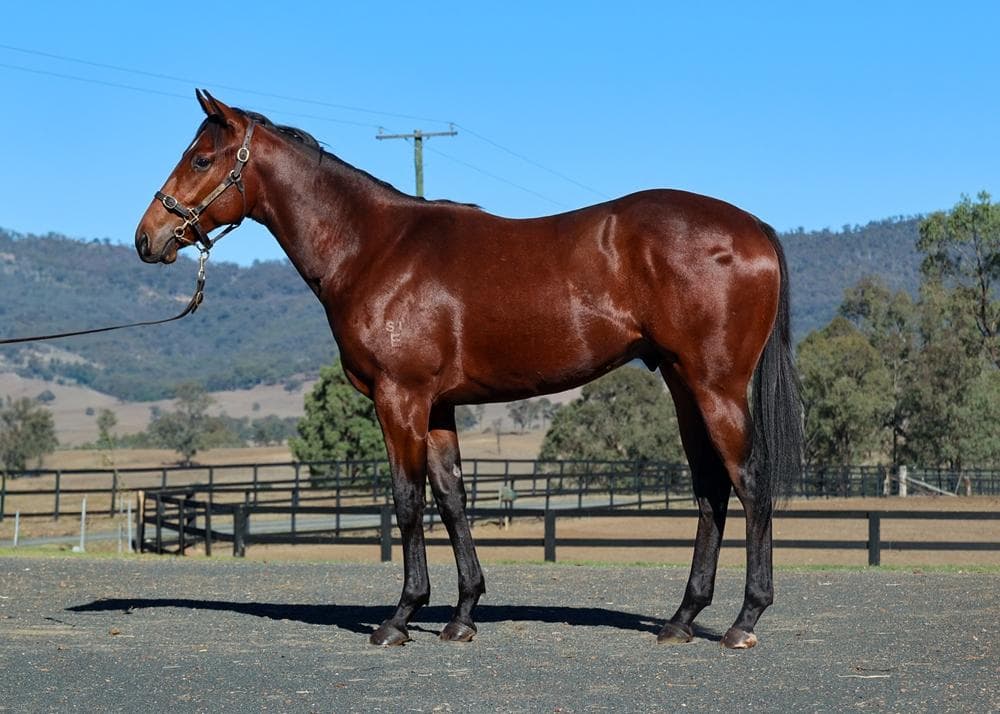Acrobat x Fortune Smiles